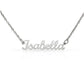 Custom Valentine's Day Name Plate Necklace